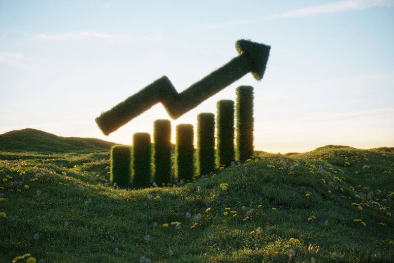 Financial growth and analysis